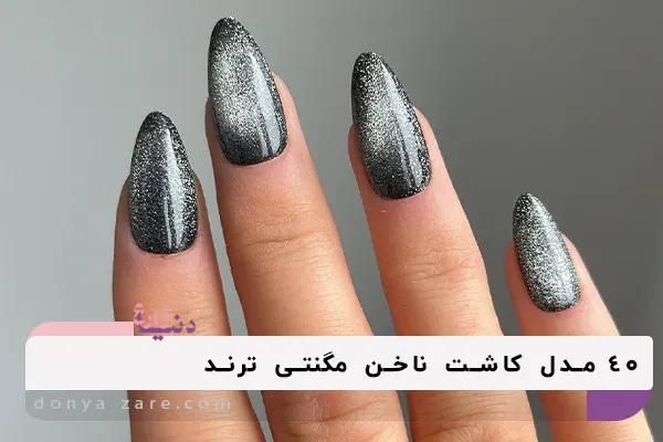 انواع مدل های کاشت ناخن مگنتی