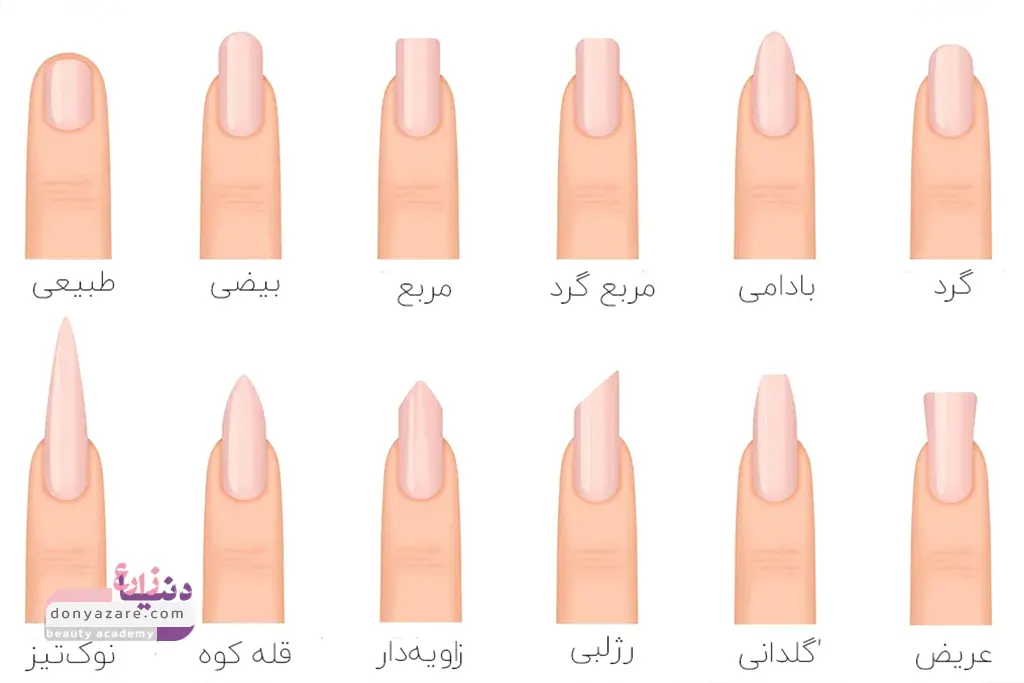 انواع فرم ناخن